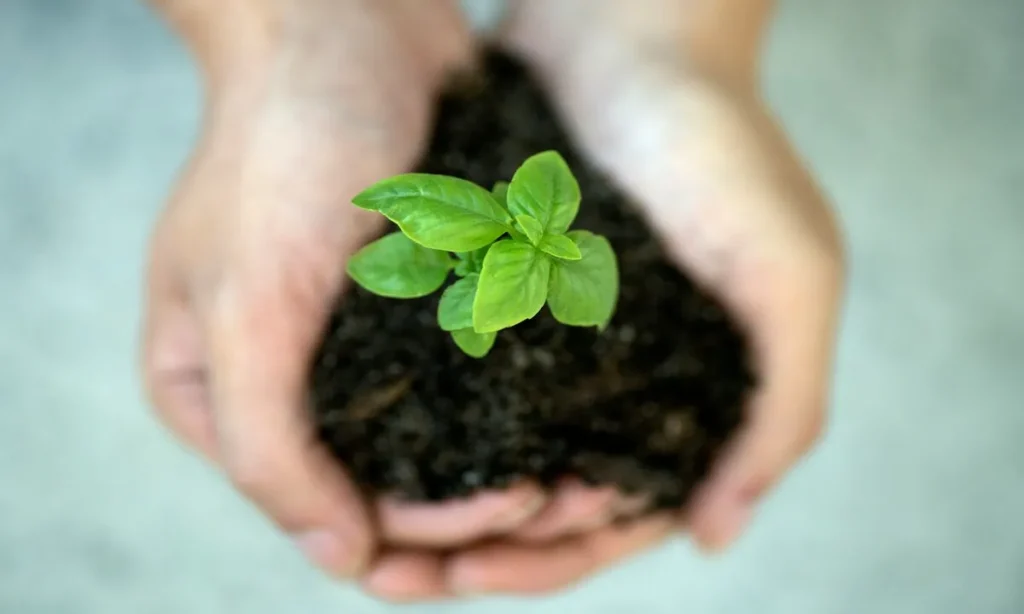 sustainability feature image for display purposes