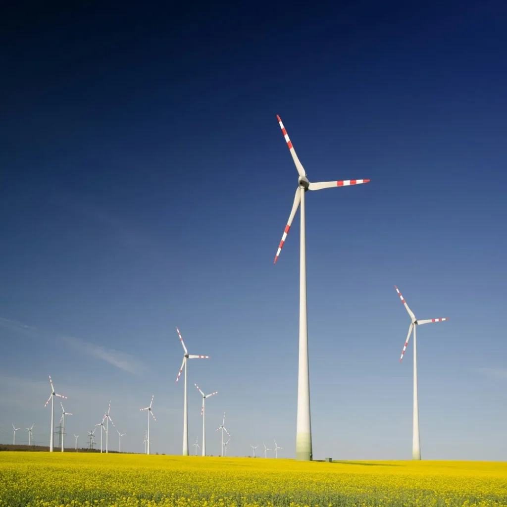 sustainability display image for decorative purposes