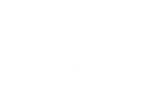 BRICS Summer School organiser logo